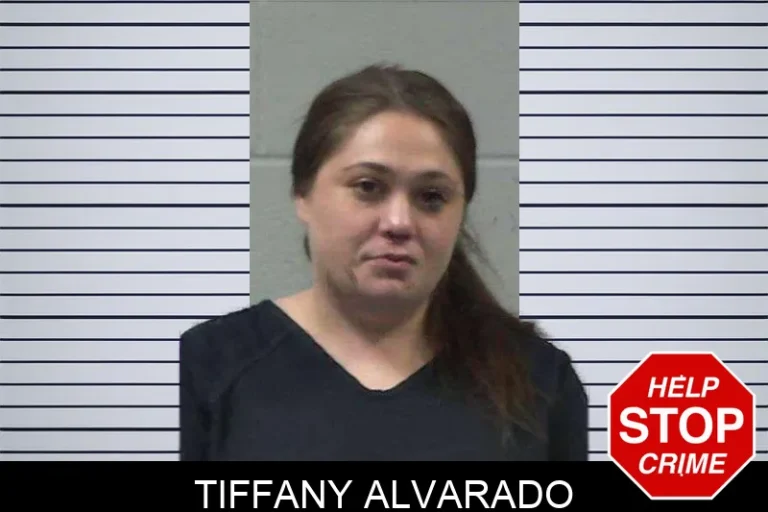 Tiffany Alvarado mugshot – Gilmer County , Georgia Tiffany Alvarado