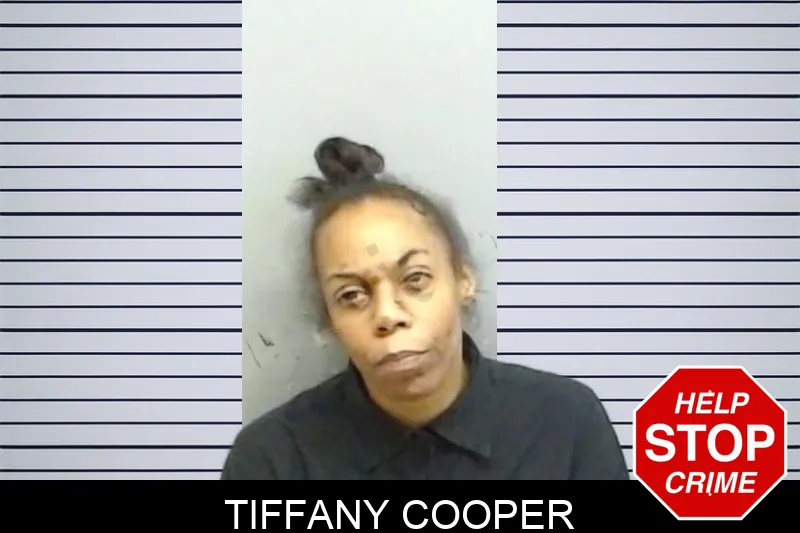 Tiffany Cooper mugshot – Fulton County , Georgia Tiffany Cooper mugshot