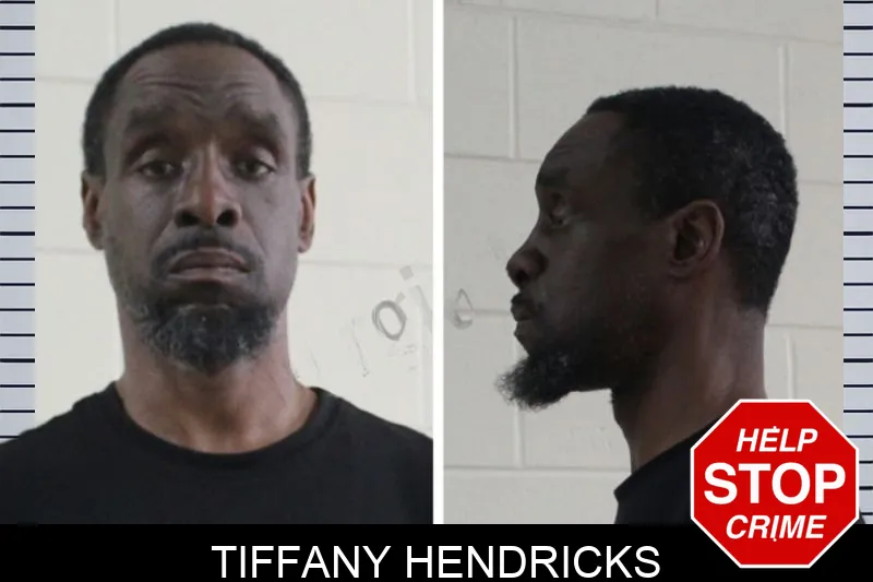 Tiffany Hendricks Mugshots