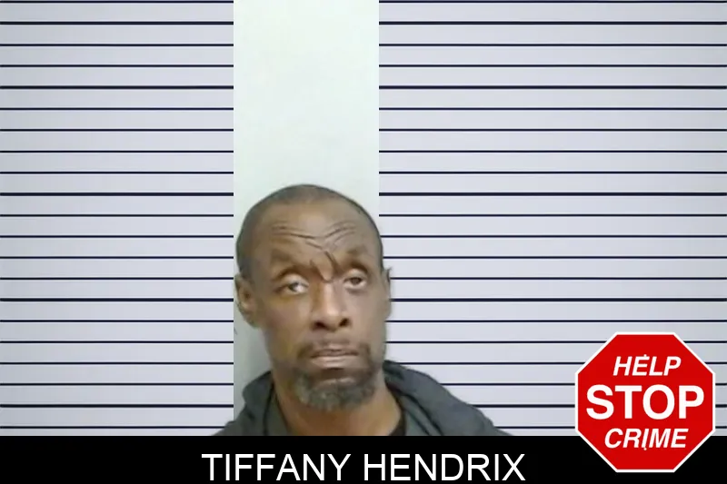 Tiffany Hendrix mugshot – Fulton County , Georgia Tiffany Hendrix mugshot