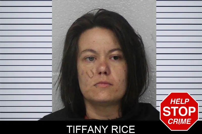 Tiffany Rice Mugshots