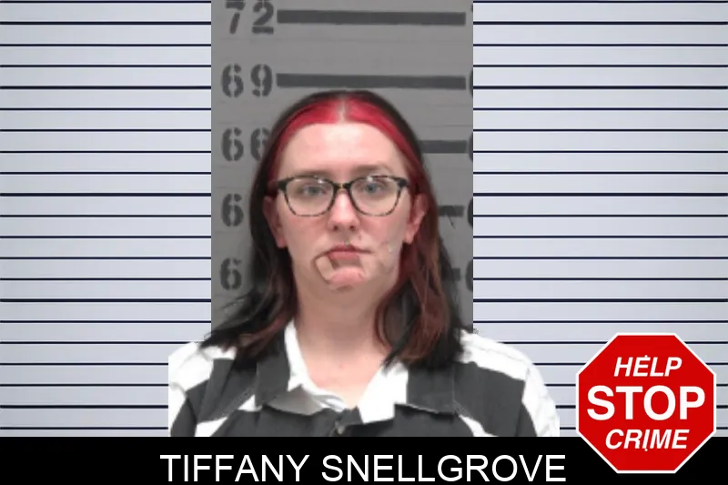 Tiffany Snellgrove mugshot – Dougherty County , Georgia Tiffany Snellgrove mugshot