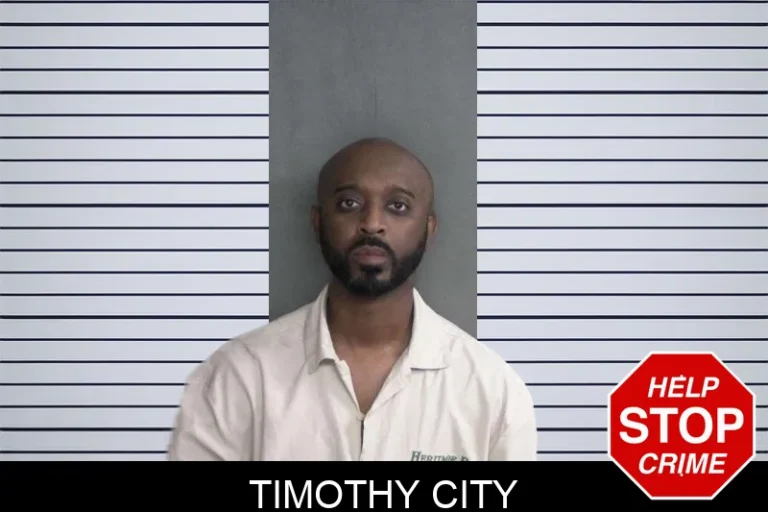 Timothy City