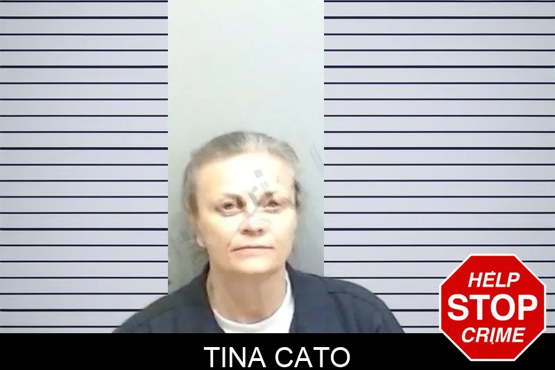 Tina Cato mugshot – Fulton County , Georgia Tina Cato mugshot