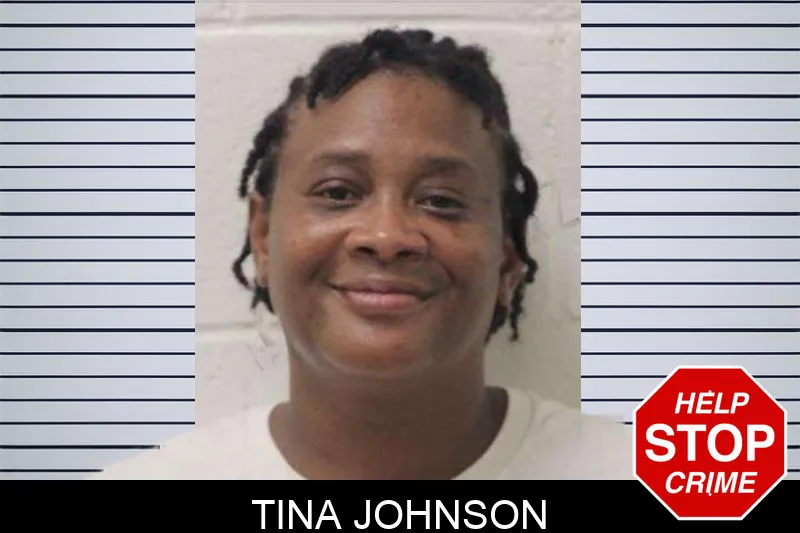Tina Johnson Mugshots