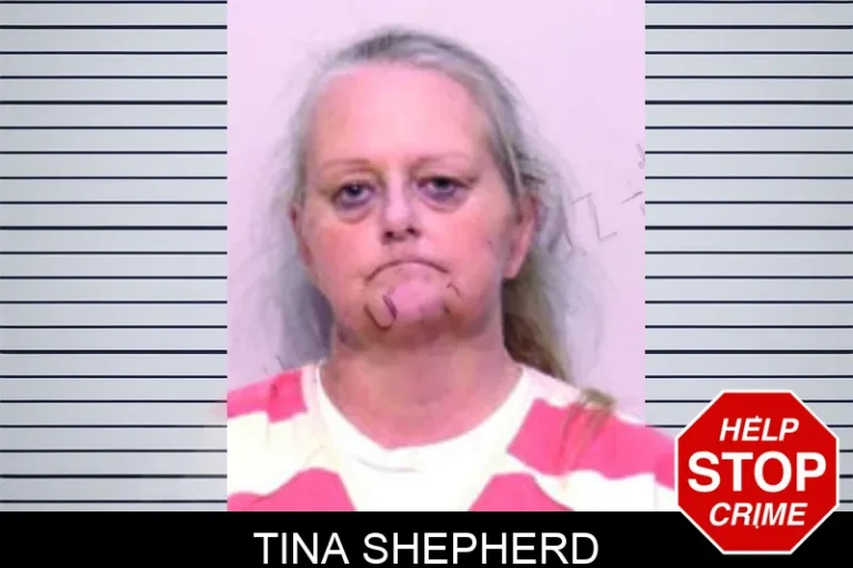 Tina Shepherd mugshot – Bartow County , Georgia Tina Shepherd