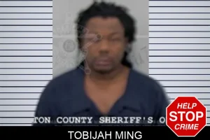 Tobijah Ming mugshot