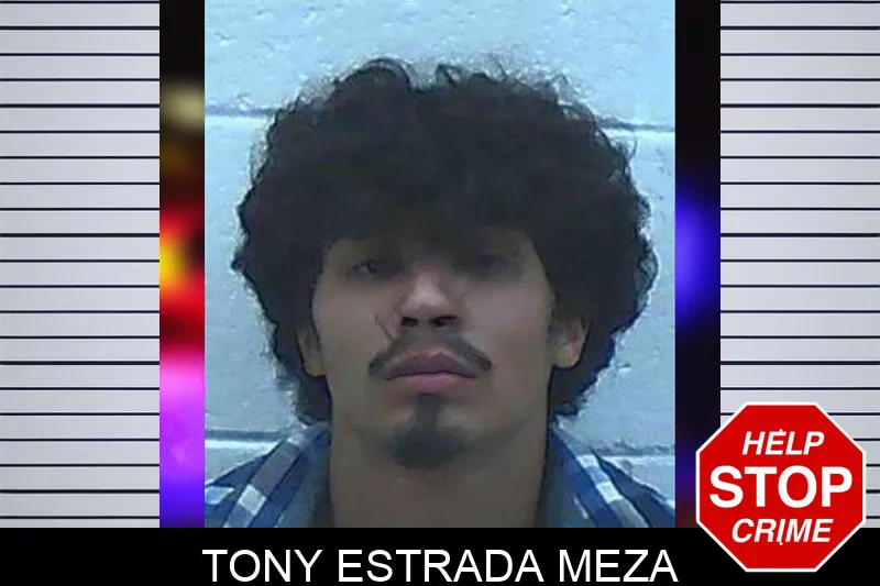 Tony Estrada Meza