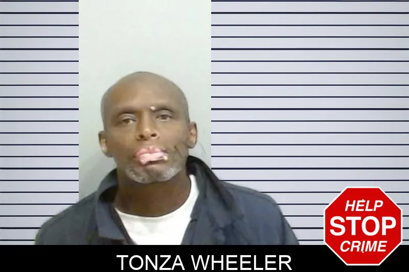 Tonza Wheeler mugshot