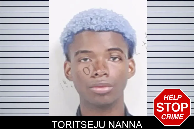 Toritseju Nanna Mugshots