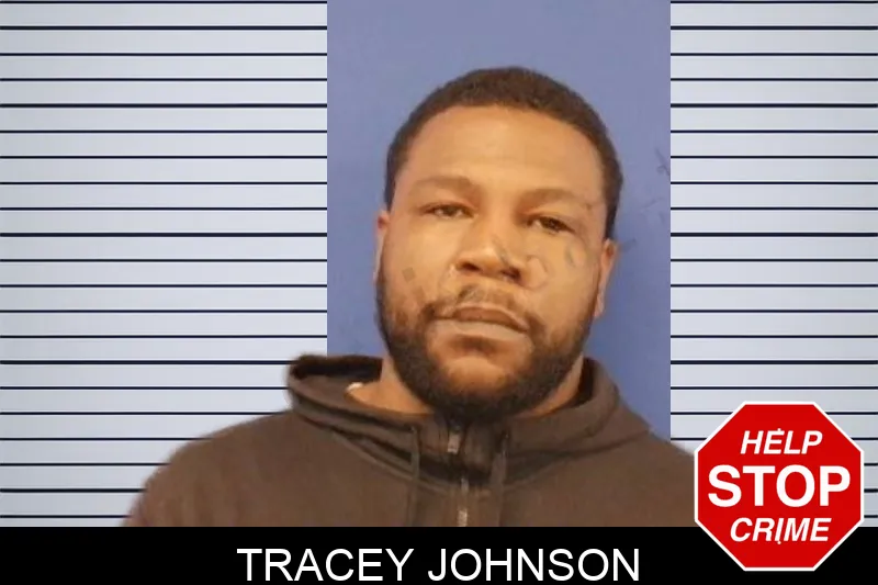 Tracey Johnson Mugshots