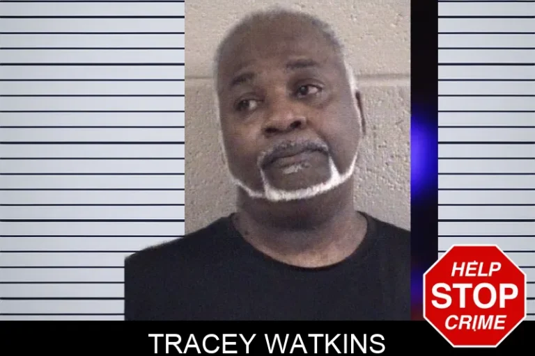 Tracey Watkins
