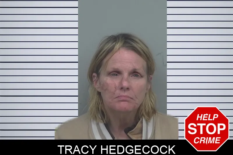Tracy Hedgecock Mugshots