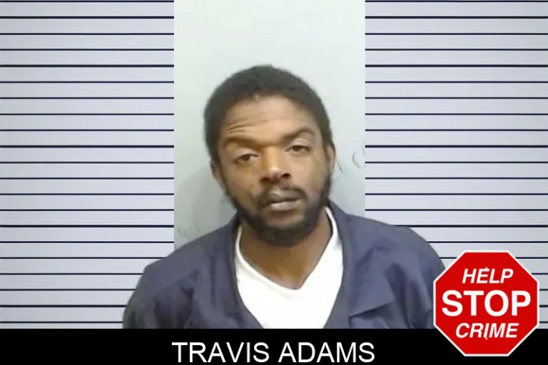 Travis Adams