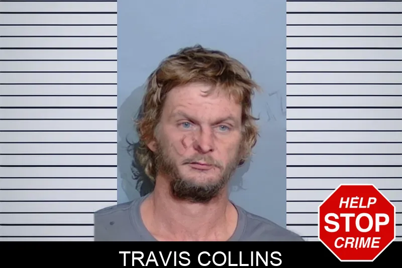 Travis Collins