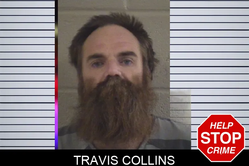 Travis Collins