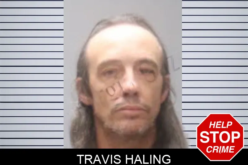 Travis Haling mugshot