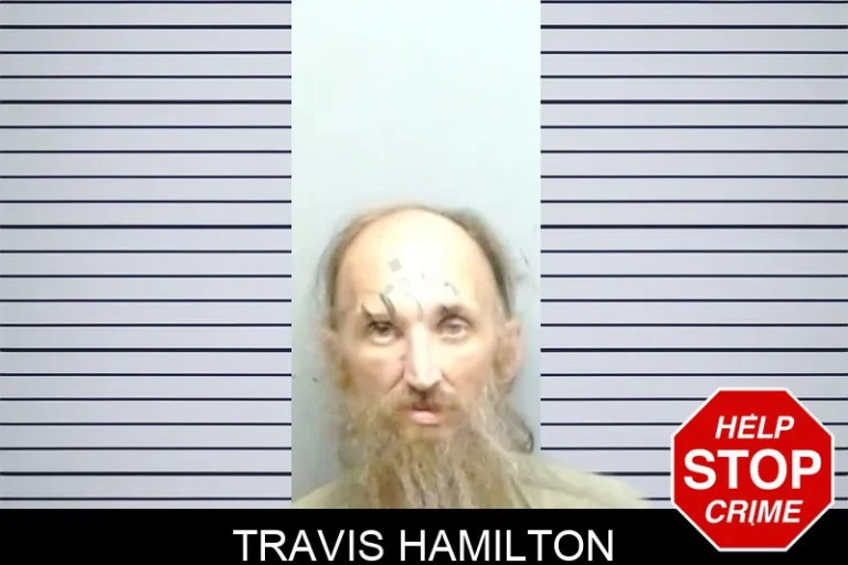 Travis Hamilton