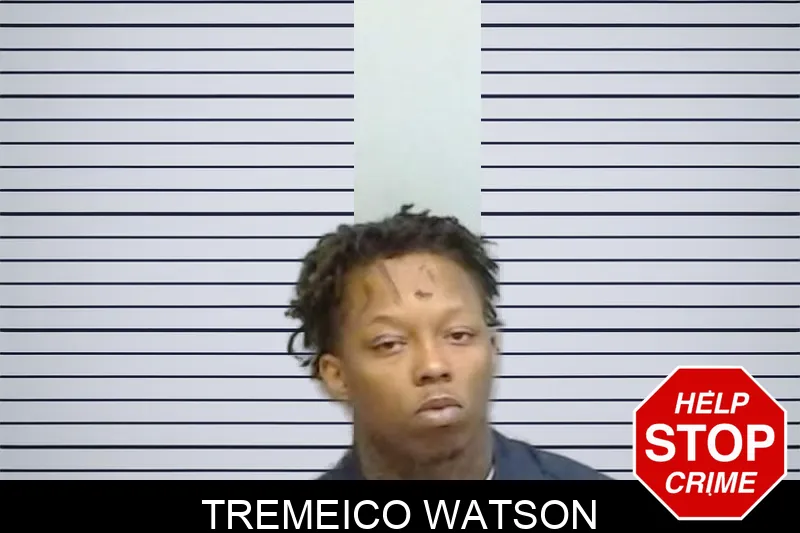 Tremeico Watson mugshot