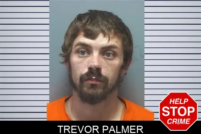 Trevor Palmer mugshot – Cherokee County , Georgia Trevor Palmer