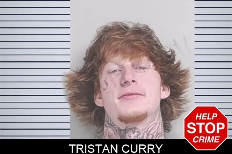 Tristan Curry mugshot – Lowndes County , Georgia Tristan Curry