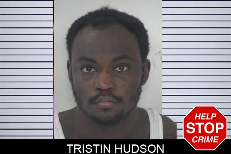 Tristin Hudson mugshot – Fayette County , Georgia Tristin Hudson