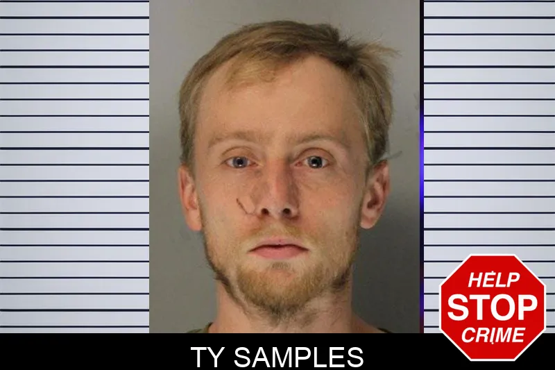 Ty Samples mugshot – Hall County , Georgia Ty Samples mugshot