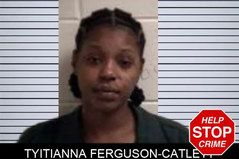 Tyitianna Ferguson-Catlett mugshot – Henry County , Georgia Tyitianna Ferguson-Catlett