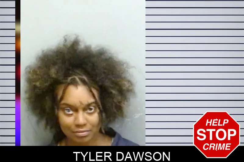 Tyler Dawson Mugshots