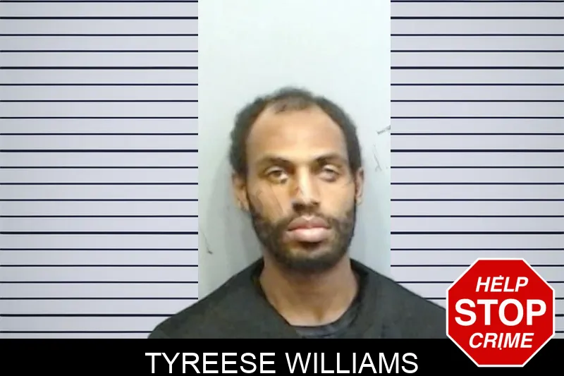 Tyreese Williams mugshot