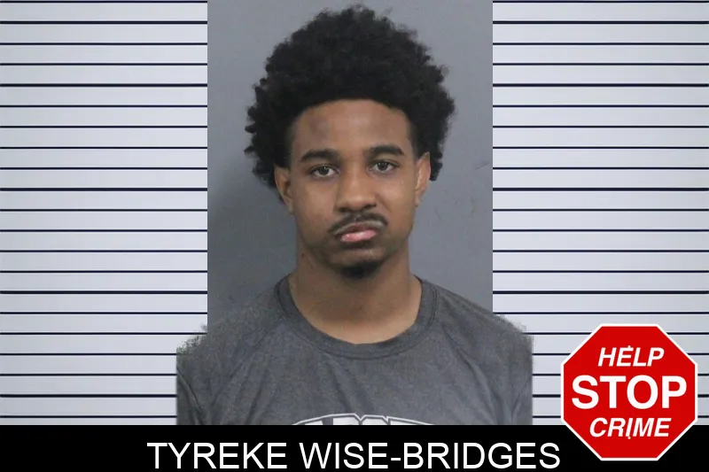 Tyreke Wise-Bridges