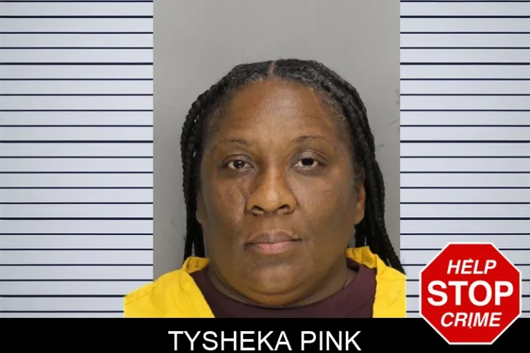 Tysheka Pink mugshot – Cobb County , Georgia Tysheka Pink