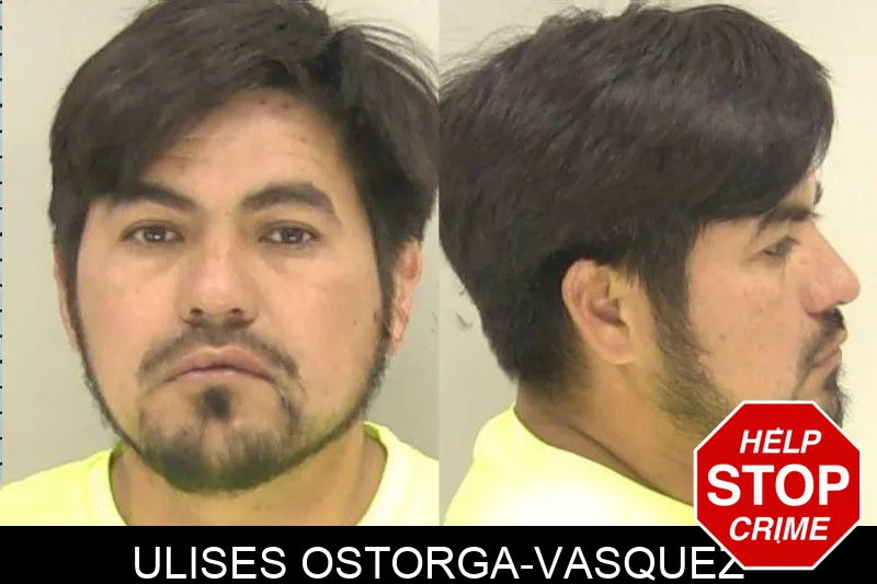 Ulises Ostorga-Vasquez