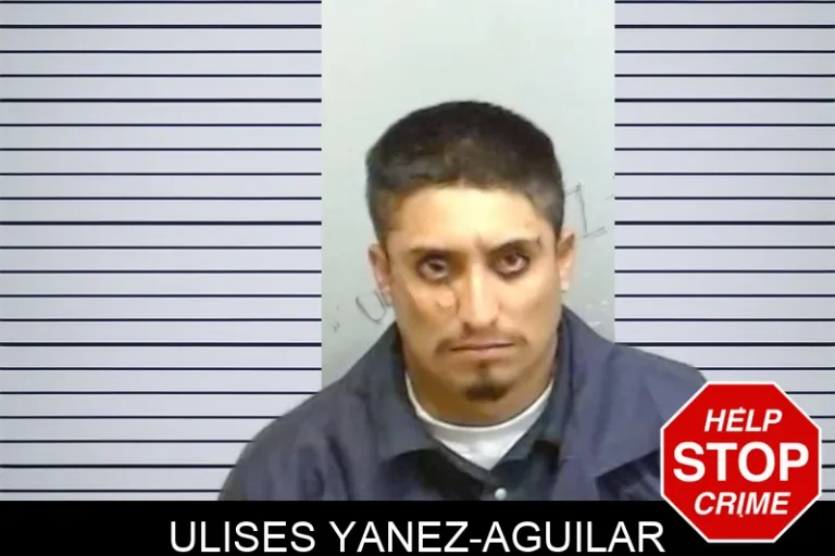 Ulises Yanez-Aguilar