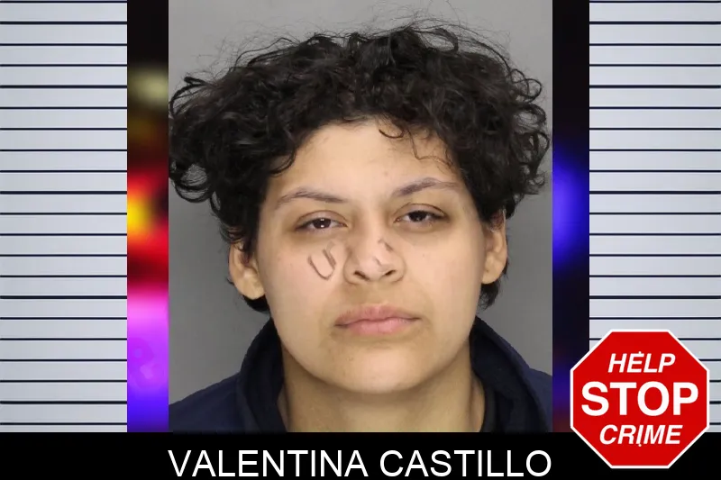 Valentina Castillo mugshot