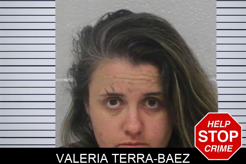 Valeria Terra-Baez Mugshots