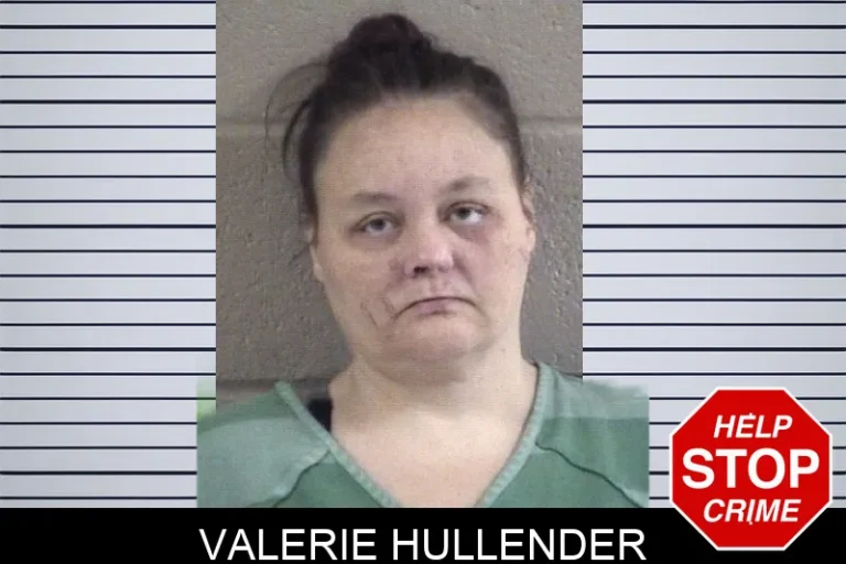 Valerie Hullender mugshot – Whitfield County , Georgia Valerie Hullender