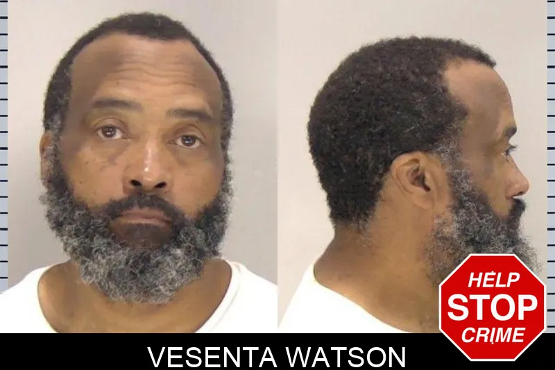 Vesenta Watson