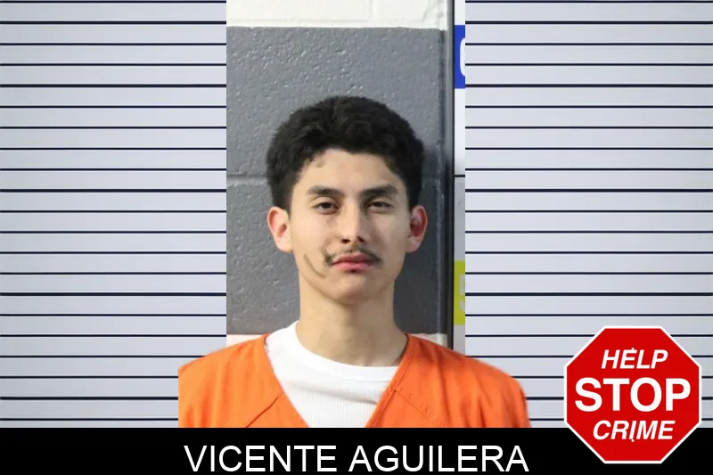 Vicente Aguilera