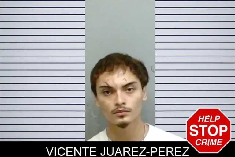 Vicente Juarez-Perez