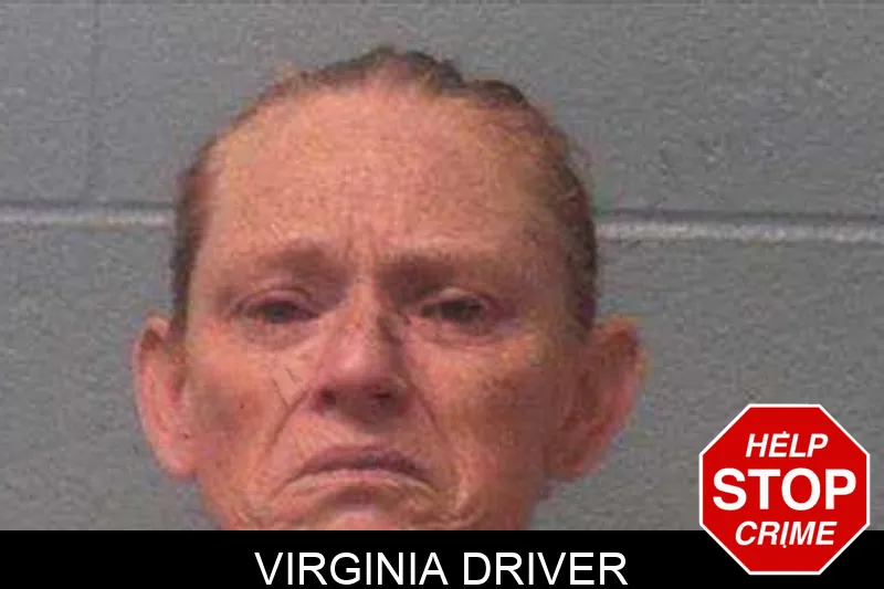 Virginia Driver Mugshots