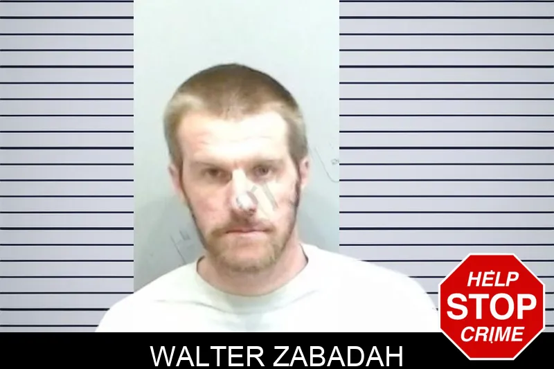 Walter Zabadah mugshot – Fulton County , Georgia Walter Zabadah mugshot
