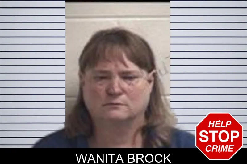 Wanita Brock mugshot – Henry County , Georgia Wanita Brock mugshot