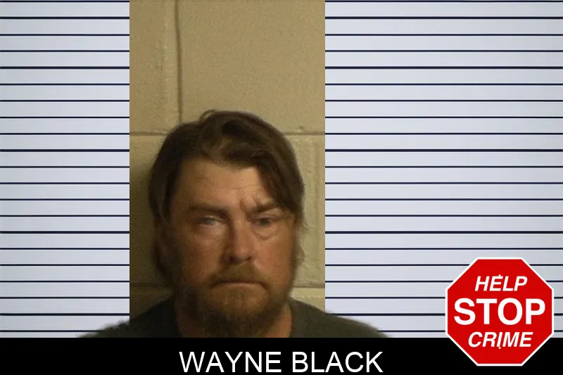Wayne Black