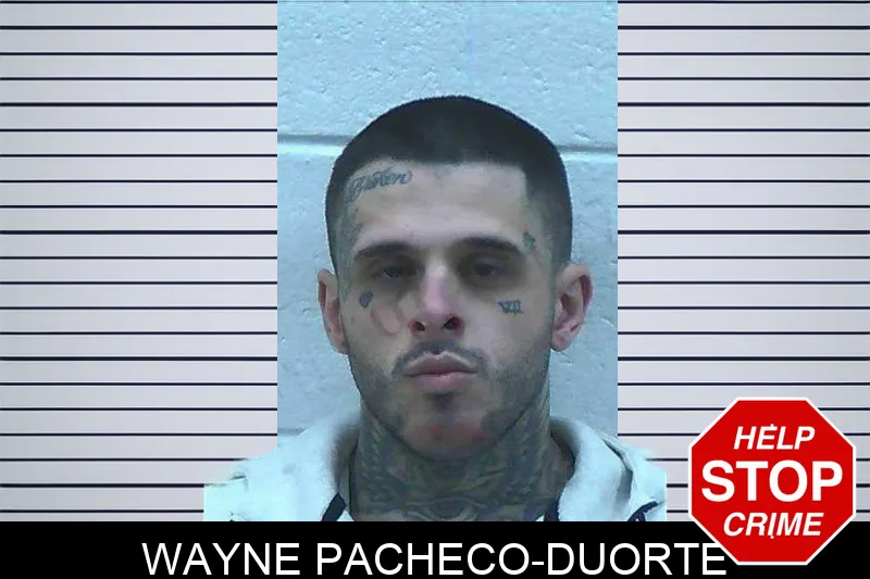 Wayne Pacheco-Duorte