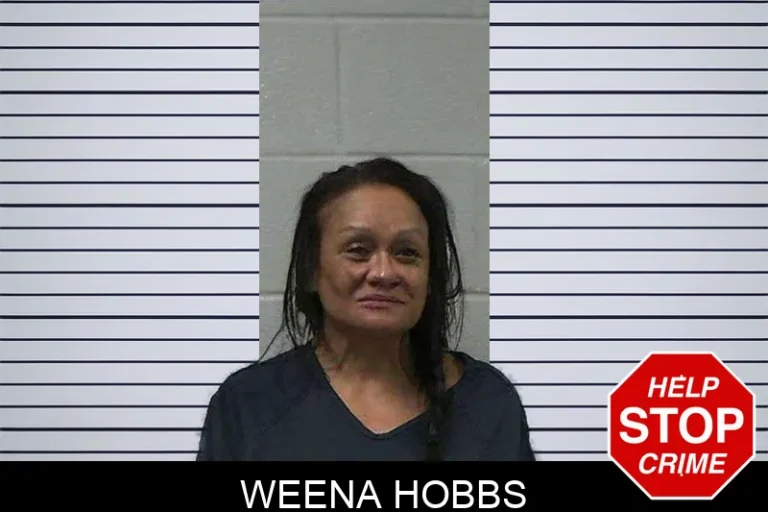 Weena Hobbs mugshot – Gilmer County , Georgia Weena Hobbs