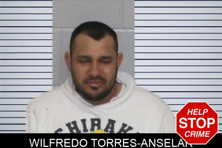 Wilfredo Torres-Anselar