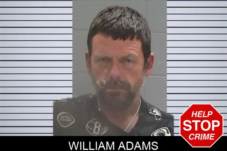 William Adams