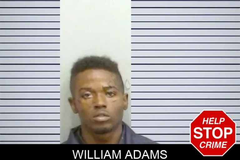 William Adams
