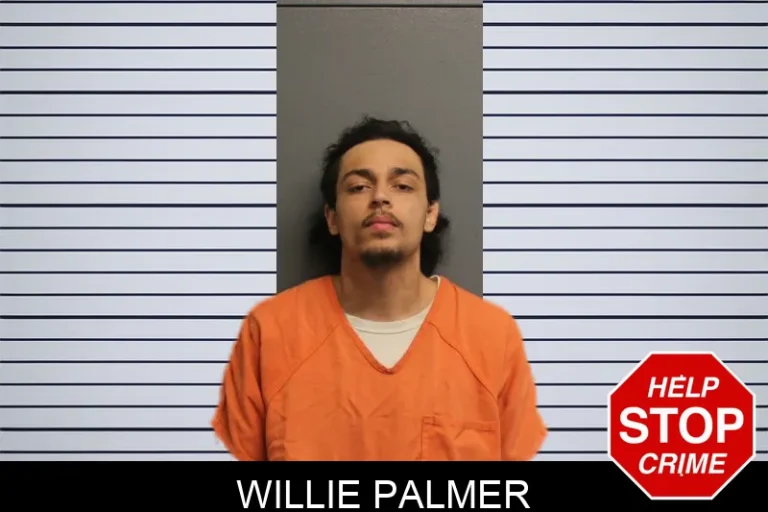 Willie Palmer